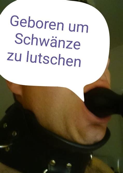 schwänze lutschen|Besten Blowjob